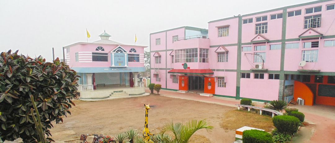  IHHS Academy