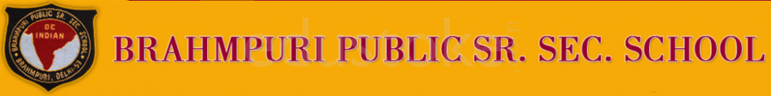  Brahmpuri Public School