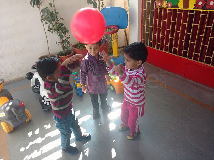  Little Dolphins Montessori School