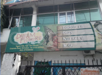 Dream Flowers