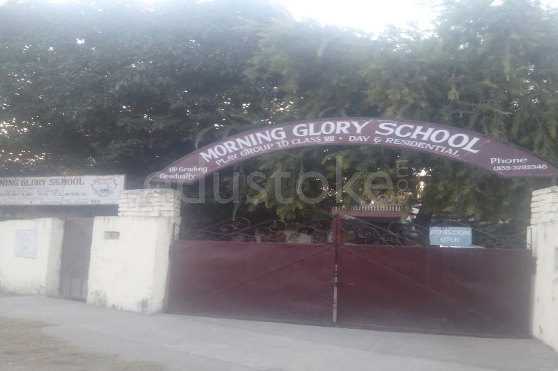 Morning Glory School