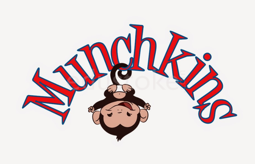  MUNCHKINS MONTESSORI AND DAY CARE