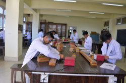 St. Josephs School Galley Image 2