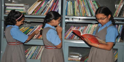 Lawrance Public Senior Secondary School Galley Image 4