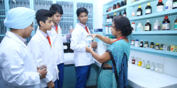 ST Thomas Senior Secondary School Galley Image 4