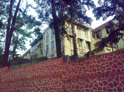 St.Josephs Convent School Galley Image 3