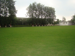 Summerfield School Galley Image 4