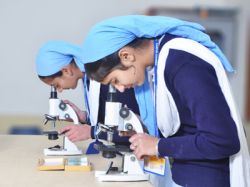 Nankana Sahib Public Senior Secondary School Galley Image 3