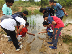 स्कूल गैली छवि