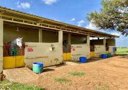Springfield World School Gallery Image 4