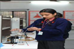 D C M Senior Secondary School Galley Image 4