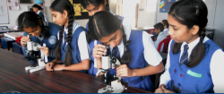 Little World School Gallery Image 3