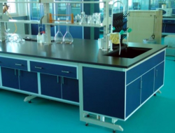 D S MEMORIAL PUBLIC  SENIOR SECONDARY SCHOOL Galley Image 3