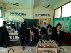 Suraj Govind Senior Secondary School Gallery Image 3