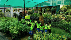 Best Day Care Centres in Tadigadapa, Vijayawada, AQSA Play School Kanuru, D no. 13-54, Pinnamaneni Teachers Colony 1st Adda Road, B block, Kanuru, Kanuru, Vijayawada