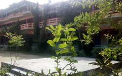 Day School near Chaman Vihar, Delhi, LITTLE STAR PUBLIC SCHOOL, G-Block,Ram Park Extn,Loni, Ram Park,Trans Delhi Signature City, Ghaziabad