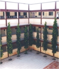 CHINMAYA VIDYALAYA, TARAPUR, Mumbai