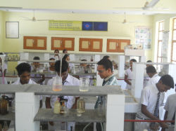 Jawahar Navodaya Vidyalaya Gallery Image 3