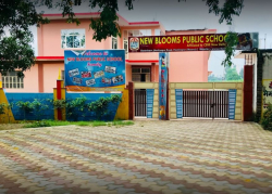 Schools in Hastinapur, Meerut, NEW BLOOMS PUBLIC SCHOOL, VILLAGE GANESHPUR HASTINAPUR ROAD HASTINAPUR, Meerut, Meerut