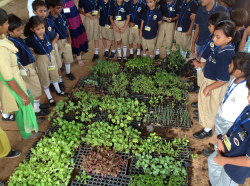 ಶಾಲೆಯ ಗ್ಯಾಲಿ ಚಿತ್ರ