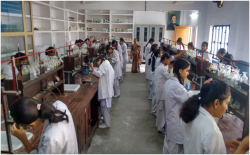 Rani Laxmi Bai Memorial School Galley Image 2