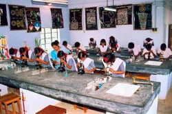 Jawahar Navodaya Vidyalaya Gallery Image 4