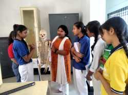Marrys Public School Galley Image 2