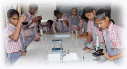 MODERN WAYS MODEL SCHOOL Galley Image 3