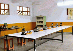 Green Fields School Galley Image 4
