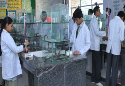 Schools in Nirman Vihar, Delhi, Universal Public School, A-Block,Preet Vihar, Preet Vihar, Delhi