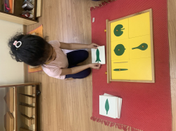 Da Vinci Montessori Galley Image 4