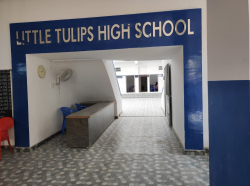 LITTLE TULIPS HIGH SCHOOL Galley Image 3