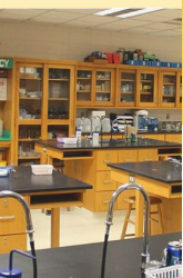 SATYA PUBLIC SCHOOL Galley Image 3
