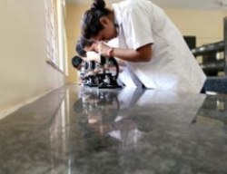 NAVY CHILDREN SCHOOL Galley Image 2