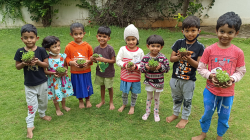 Rays Montessori House of Children Galley Image 4