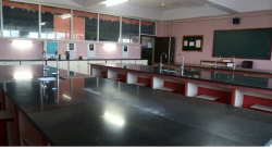 NEW HORIZON SCHOLARS SCHOOL Galley Image 2