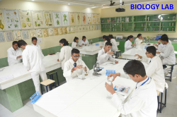 Mayur Public School Galley Image 3