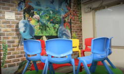 Best Play Schools in Vijayawada, Springboard International Preschool, Ramachandra Nagar - Vijayawada, H.No:48-19-5b, Sri Ramachandra Nagar Main Road, Opposite Canara Bank, RamachandraNagar, Vijayawada