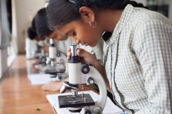 LOTUS NATIONAL SCHOOL Galley Image 2