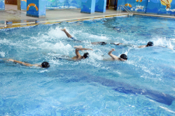 Indoor Sports Facilities