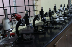 MIRANDA COMPOSITE PU COLLEGE Galley Image 2
