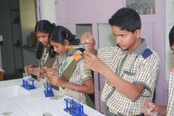 HAL SECONDARY SCHOOL Galley Image 3