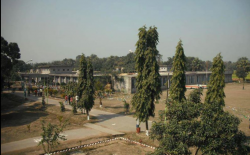 Jawahar Navodaya Vidyalaya Gallery Image 1