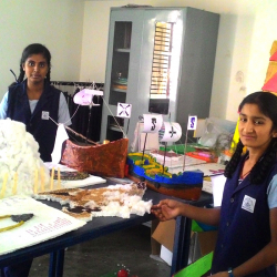 BLOSSOM SCHOOL, 1st Stage,Kumaraswamy Layout, Bengaluru