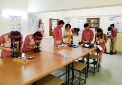 SRI RAM INTERNATIONAL SCHOOL Gallery Image 2