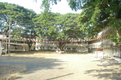 Top 10 Boarding Schools , TAPOVAN SANSKARDHAM VIDYALAYA, Dharagiri, Po. Kabilpore, Tal. & Dist. Navsari,  NATIONAL HIGHWAY 8 DISTT NAVASARI, Surat