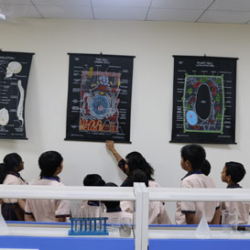 Imperial Heritage School Galley Image 3