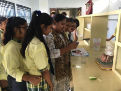 Marrys Public School Galley Image 3