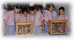 MODERN WAYS MODEL SCHOOL Galley Image 4