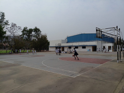 Outdoor Play Area